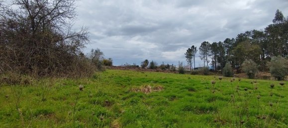 Land in Leiria, Portugal No. 64408 3