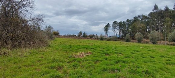 Land in Leiria, Portugal No. 64408 2