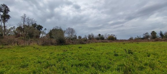 Land in Leiria, Portugal No. 64408 4