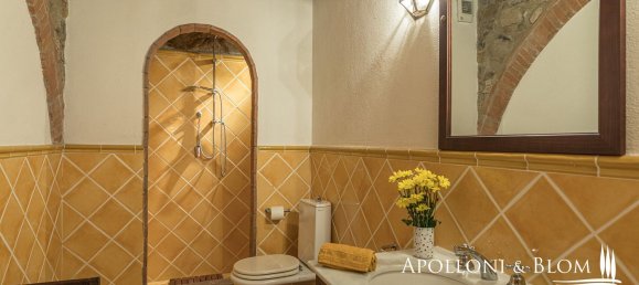 8 rooms Villa in San Casciano dei Bagni, Italy No. 54120 28