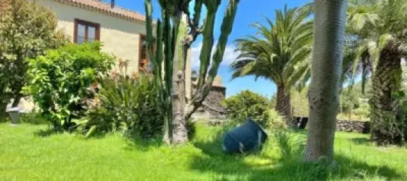 1 chambre Maison à La Palma, Spain No. 169504 43