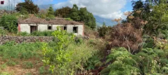 1 chambre Maison à La Palma, Spain No. 169504 23