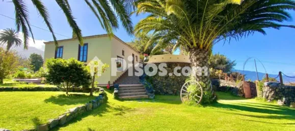 1 chambre Maison à La Palma, Spain No. 169504 55