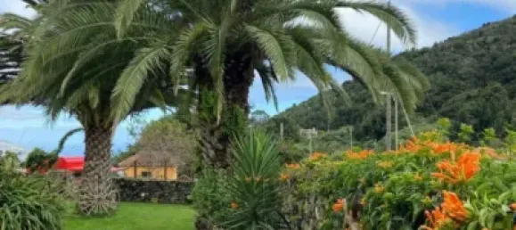 1 chambre Maison à La Palma, Spain No. 169504 27