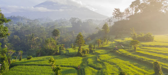 4 chambres Villa à Ubud, Indonesia No. 3708 12