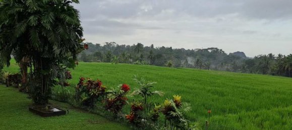 4 chambres Villa à Ubud, Indonesia No. 3708 13