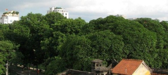 Квартира с 1 спальней в Хоанкьем, Вьетнам № 5816 4