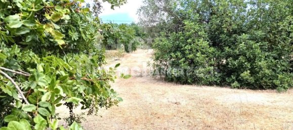 3 Schlafzimmer Haus in Modica, Italy, Nr. 350821 13