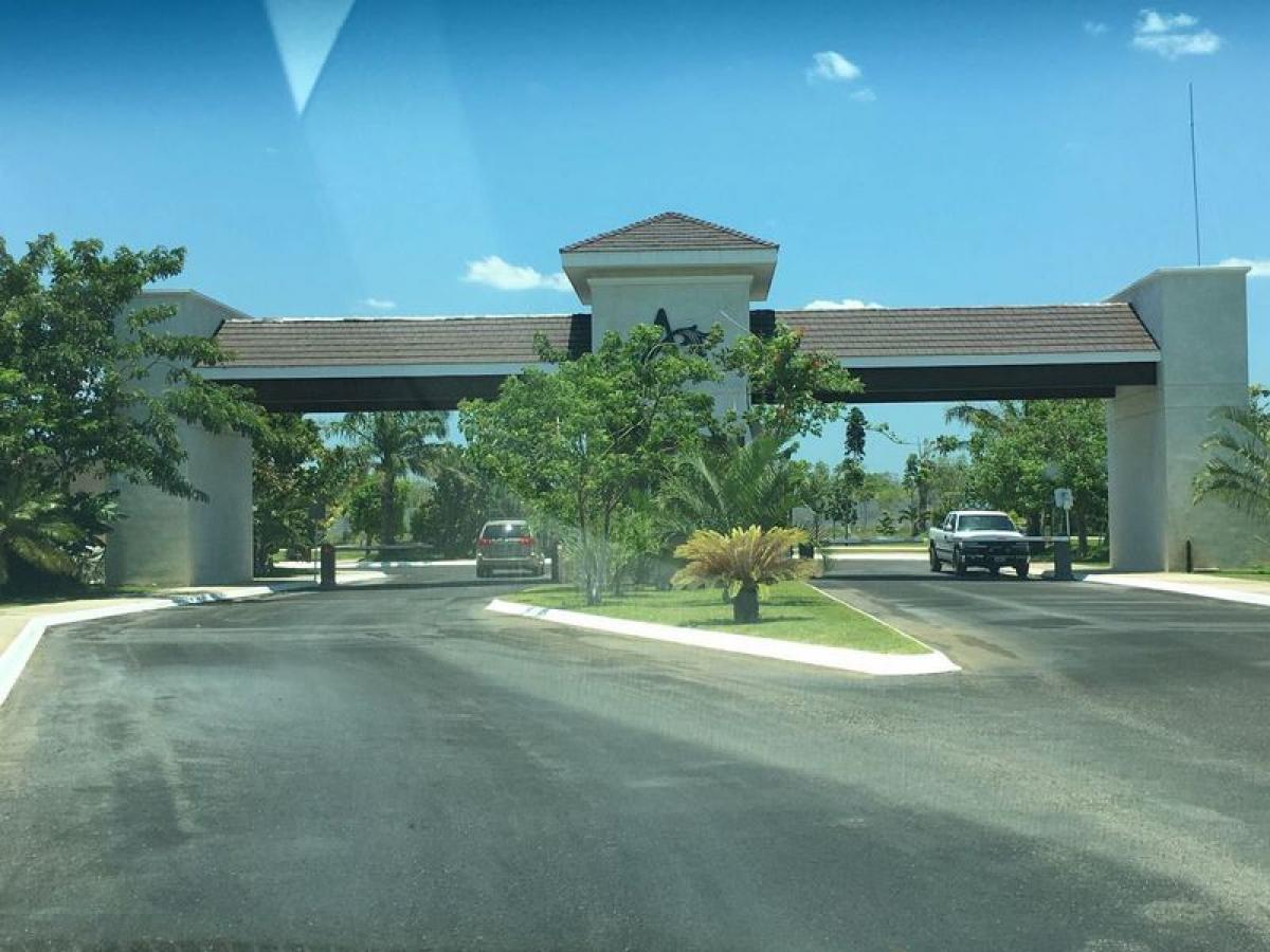 Terreno em Merida, Mexico N.º 100769