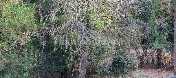 6 Schlafzimmer Villa in Offagna, Italy, Nr. 172661 6