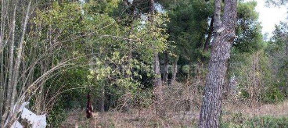 6 Schlafzimmer Villa in Offagna, Italy, Nr. 172661 13