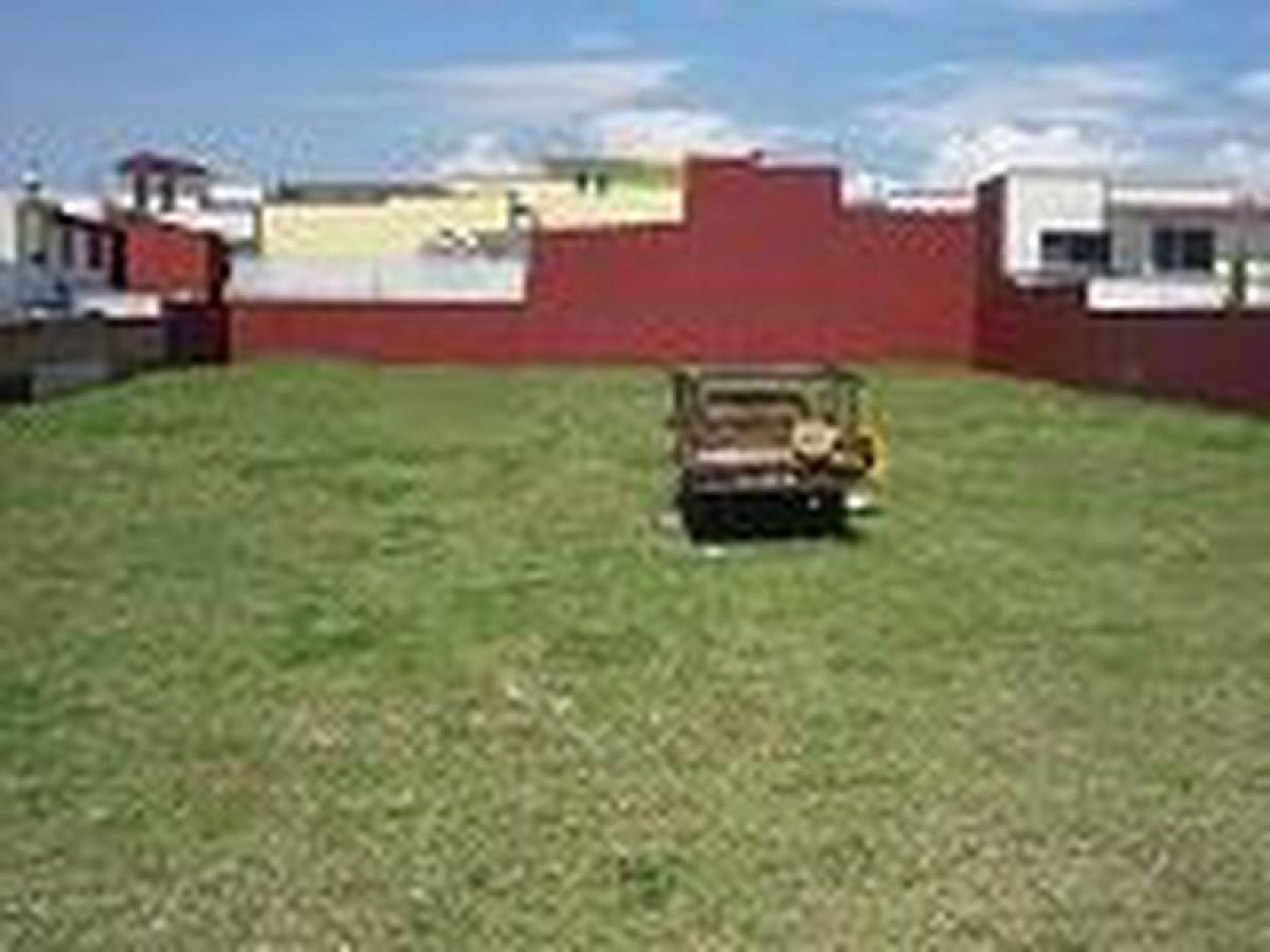 Grundstück in Mexico, Nr. 203724