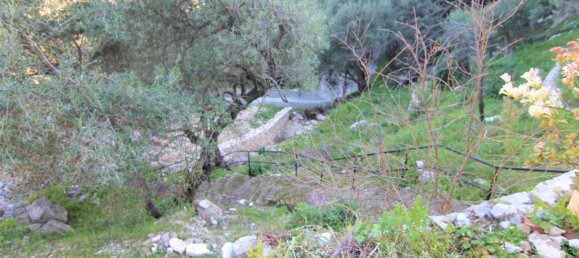 300m² Townhouse in Corfu, Greece No. 5652 10