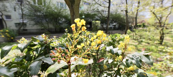 3 Schlafzimmer Wohnung in Reinickendorf, Germany, Nr. 227506 23