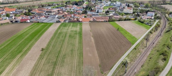 4 bedrooms House in Vienna, Austria No. 139872 11