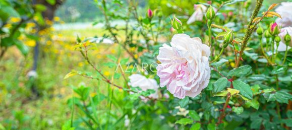 9 bedrooms Villa in Seborga, Italy No. 161769 9