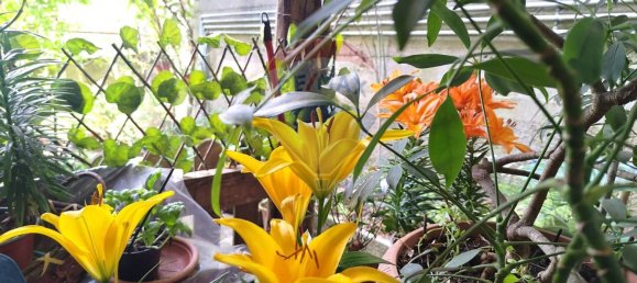 3-salle Appartement à Sassello, Italy No. 319430 6