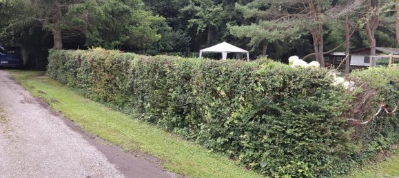  قطعة أرض في Rosenheim, Germany رقم 304884 17