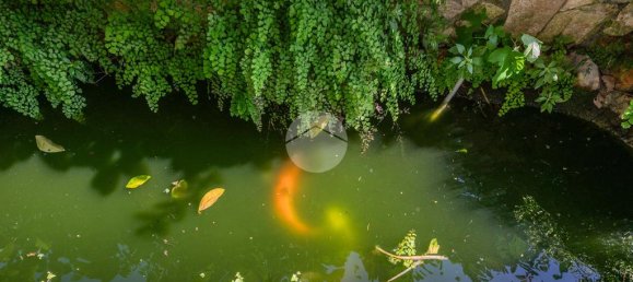 2 غرف نوم شقة في Rome, Italy رقم 346197 38