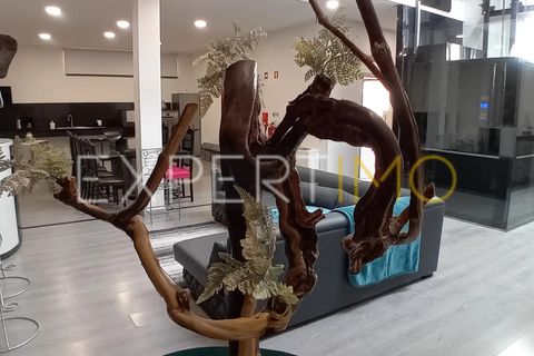 5 Schlafzimmer Villa in Braganca, Portugal, Nr. 199313