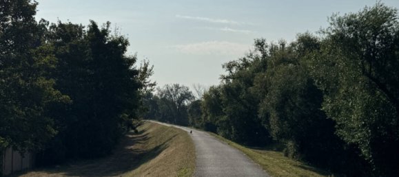 14-salle Villa à Magdeburg, Germany No. 35438 13