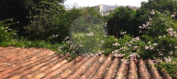 4 Schlafzimmer Haus in Cano, Portugal, Nr. 185203 5