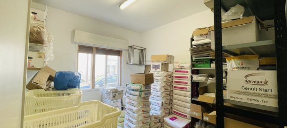 4 bedrooms Apartment in Stra, Italy No. 85702 12