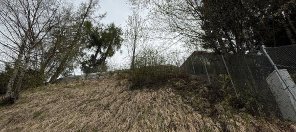  قطعة أرض في Steinach am Brenner, Austria رقم 245449 7