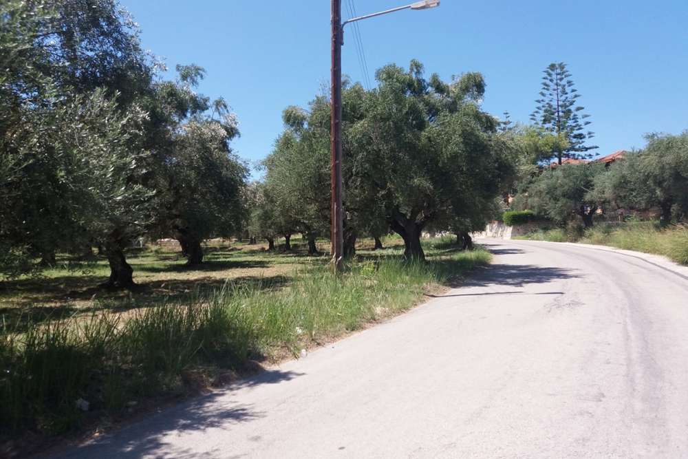Grundstück in Zakynthos, Greece, Nr. 814