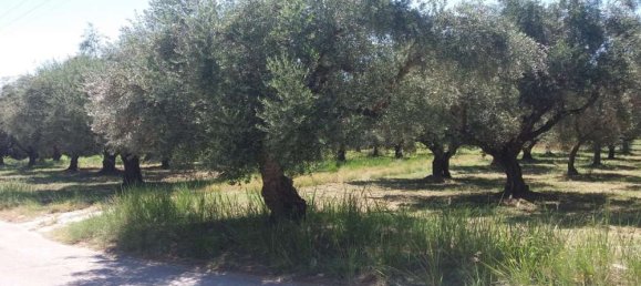 Grundstück in Zakynthos, Greece, Nr. 814 13