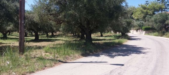 Grundstück in Zakynthos, Greece, Nr. 814 11