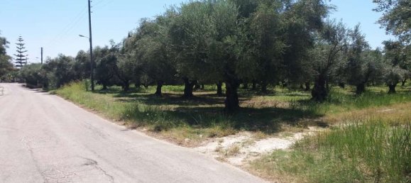 Grundstück in Zakynthos, Greece, Nr. 814 12