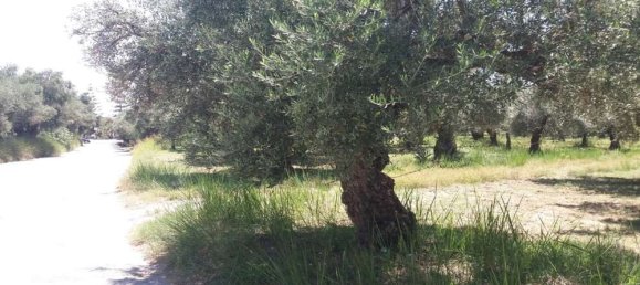  Hotel in Zakynthos, Greece No. 814 14