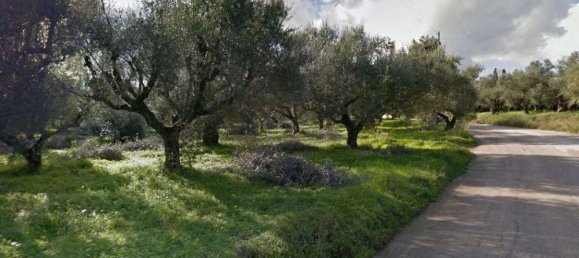 Grundstück in Zakynthos, Greece, Nr. 814 8