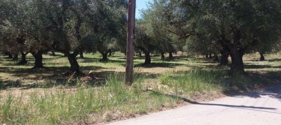  Hotel in Zakynthos, Greece No. 814 4