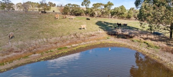 3 chambres Ferme à Loch, Australia No. 732 27