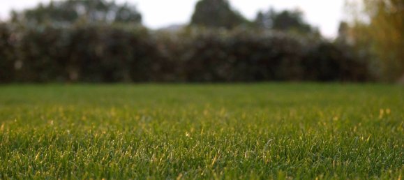 4 Schlafzimmer Haus in Basque Autonomous Community, Spain, Nr. 173655 11