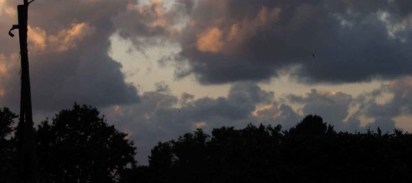 4 Schlafzimmer Haus in Basque Autonomous Community, Spain, Nr. 173655 30