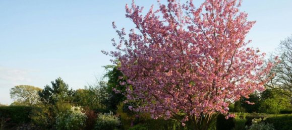 Grundstück in Faenza, Italy 9901m², Nr. 228839 17