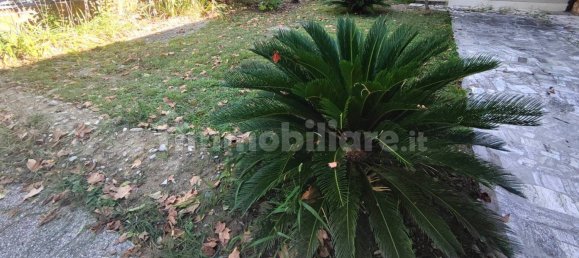 2 Schlafzimmer Wohnung in Riccione, Italy, Nr. 257504 5