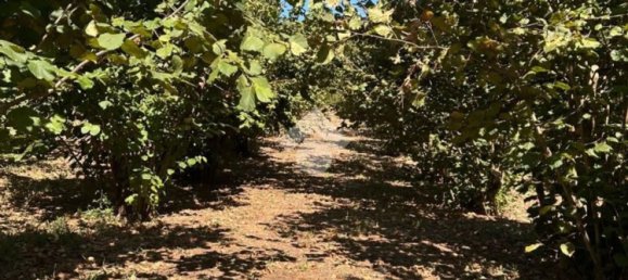 Grundstück in Trevi, Italy 26046m², Nr. 269930 14