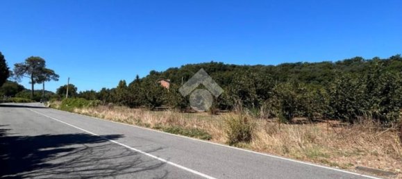 Grundstück in Trevi, Italy 26046m², Nr. 269930 11