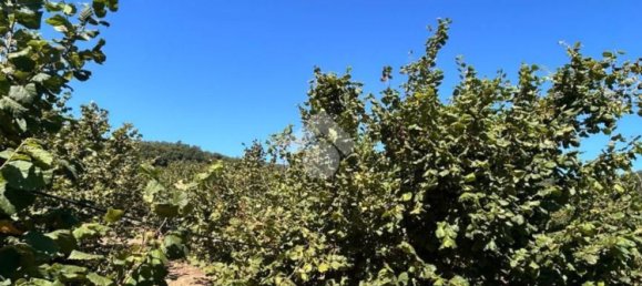 Grundstück in Trevi, Italy 26046m², Nr. 269930 6