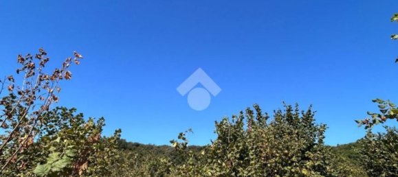 Grundstück in Trevi, Italy 26046m², Nr. 269930 5