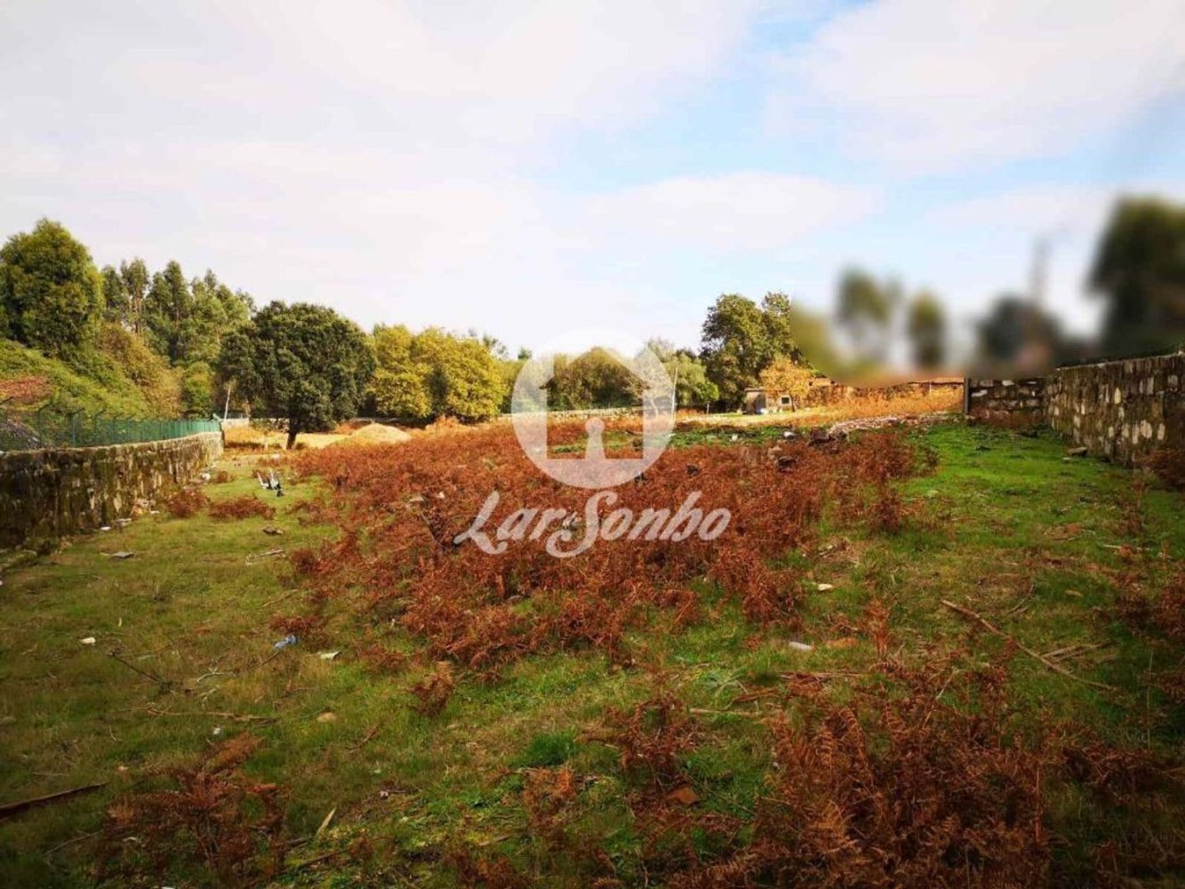 استوديو في Vila Nova de Famalicao, Portugal رقم 83655