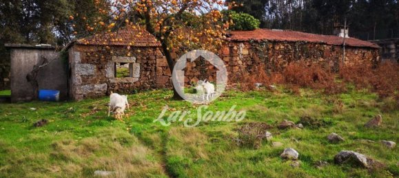 استوديو في Vila Nova de Famalicao, Portugal رقم 83655 6