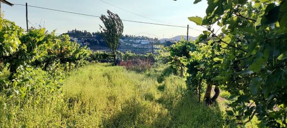 4 bedrooms House in Castelo de Paiva, Portugal No. 47974 10