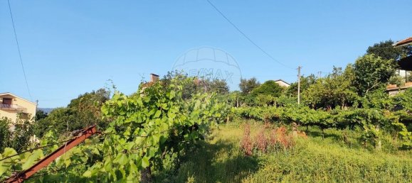 4 bedrooms House in Castelo de Paiva, Portugal No. 47974 16