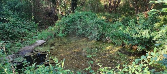 4 bedrooms House in Castelo de Paiva, Portugal No. 47974 13