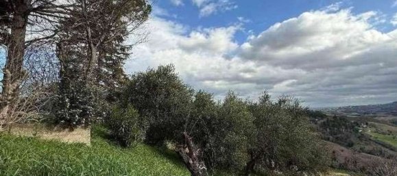 12 rooms Villa in Pesaro, Italy No. 225904 10